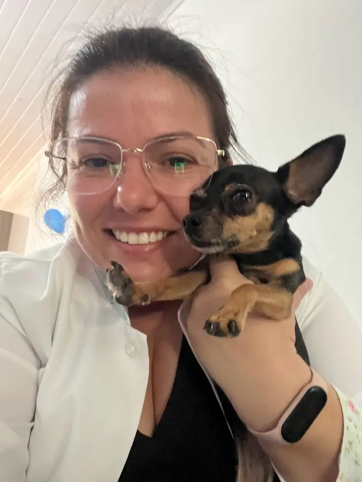 Gato sendo examinado pela veterinária em casa