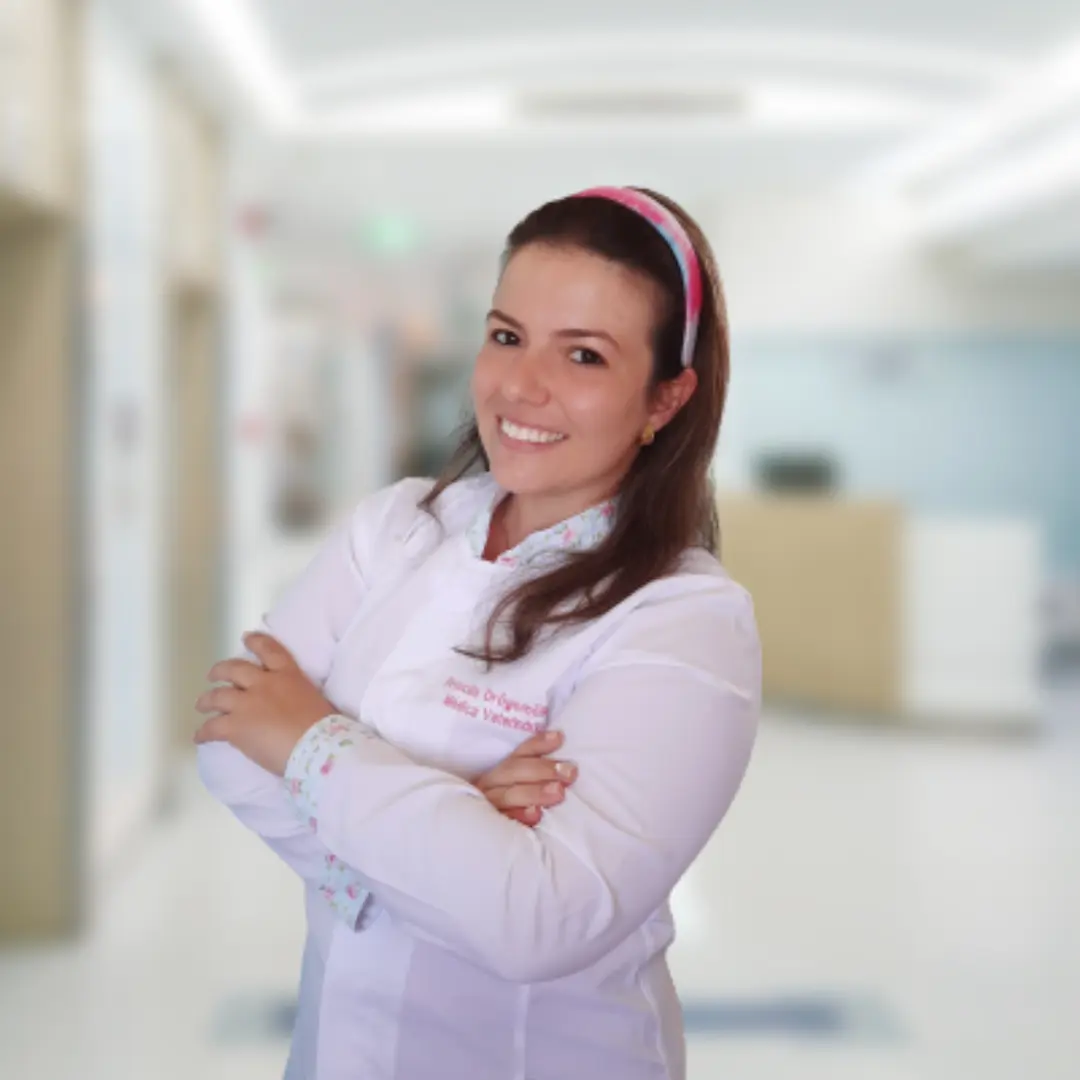 Dra. Priscila Drogemoller - Veterinária especialista em pequenos animais